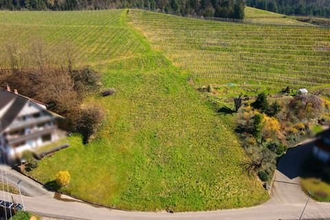 Oberkirch / Ringelbach Grundstücke, Oberkirch / Ringelbach Grundstück kaufen