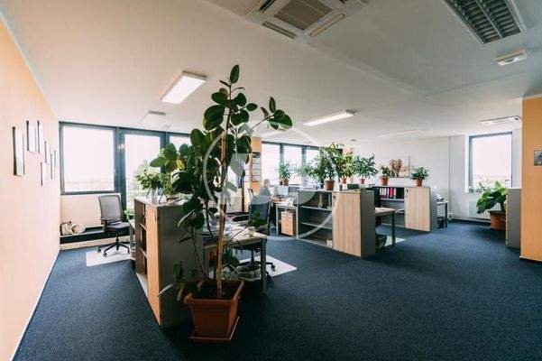 Büro_Großraum_2
