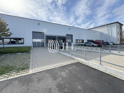 Düsseldorf Halle, Düsseldorf Hallenfläche