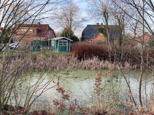 Grundstück mit großem Teich