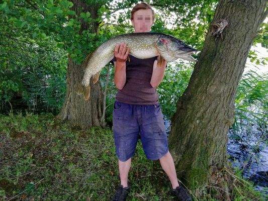 Forstbetrieb – Landwirtschaft – Eigenjagd Südschweden - Immobilien-Kurz-Salzburg