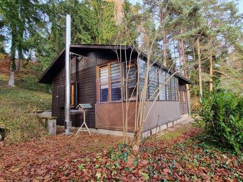 Neukirchen bei Sulzbach-Rosenberg Häuser, Neukirchen bei Sulzbach-Rosenberg Haus kaufen