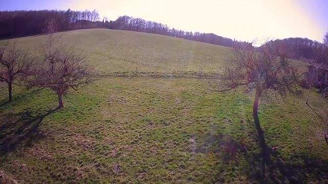 DB5 Baupl. oberhalb Str. am Weiher