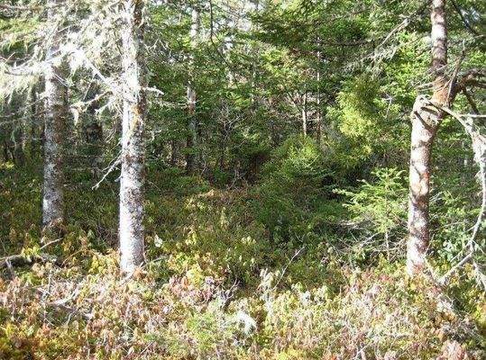 Grundstück von der Straße