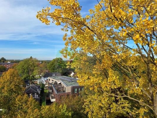 Blick von der Terrasse-01