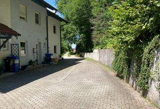 IMG_7522.jpeg