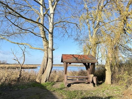 Wanderweg am Dassower See