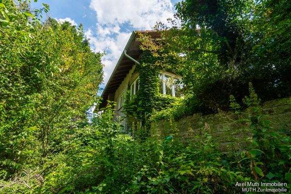 romantisch begrünte Fassade