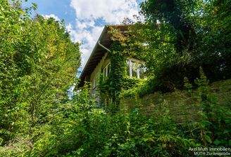 romantisch begrünte Fassade