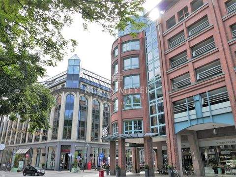 Hamburg Ladenlokale, Ladenflächen 