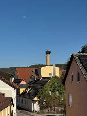 Aussicht mit Storch.png