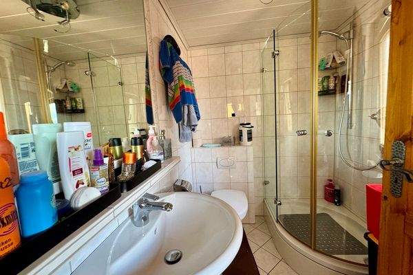 Gäste-Duschbad Erdgeschoss