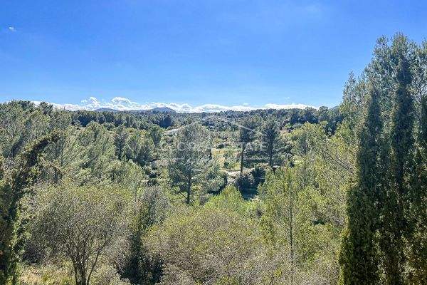 ...mit Blick in die Natur