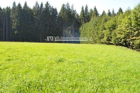 Denklingen Bauernhöfe, Landwirtschaft, Denklingen Forstwirtschaft