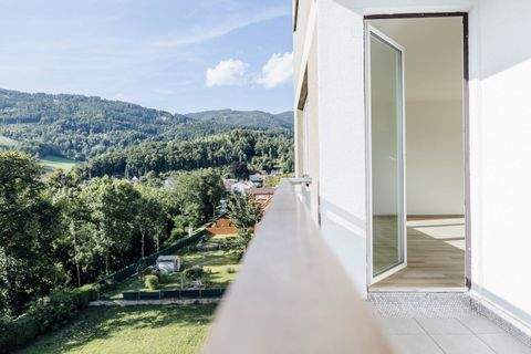 Leoben Wohnungen, Leoben Wohnung kaufen