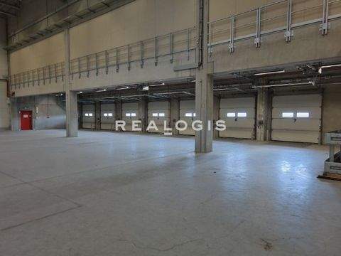 Ludwigsburg Halle, Ludwigsburg Hallenfläche