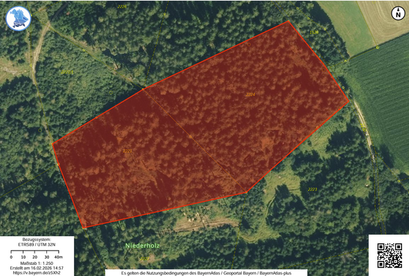 Screenshot 2026-02-16 145744.png