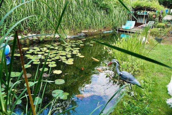 Gartenteichanlage