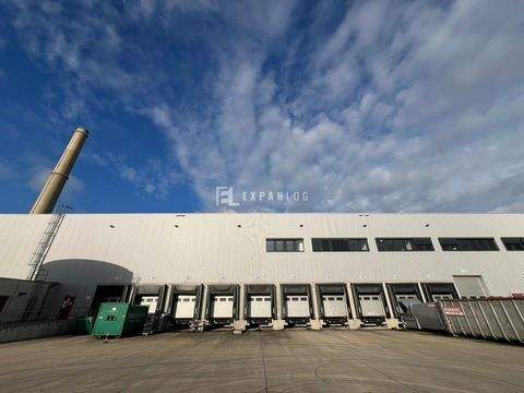 Düsseldorf Halle, Düsseldorf Hallenfläche