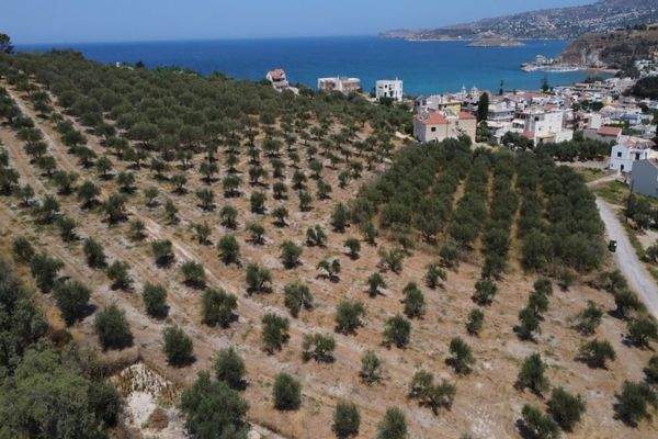 Kreta, Kalyves: Weitläufiges Grundstück mit Meerblick zu verkaufen