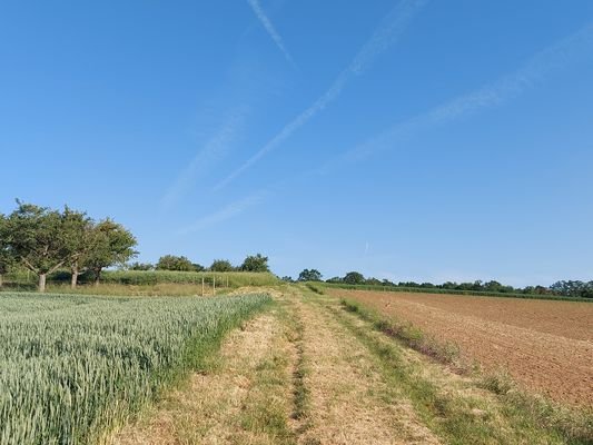 Ein Spaziergang zur Hohen Straße