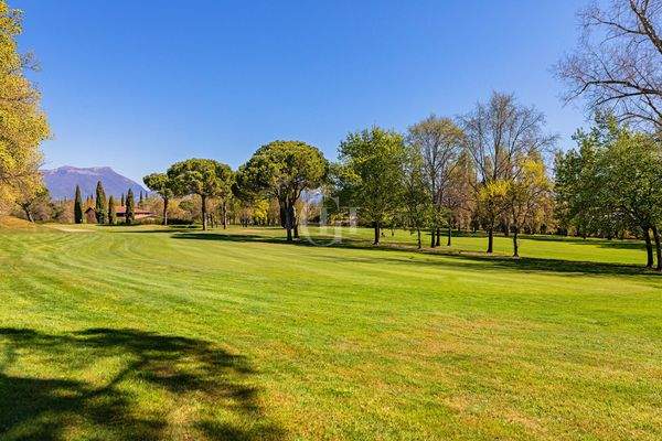 9542fa80-ae99-45aa-b1e6-650aa5ef165c_original