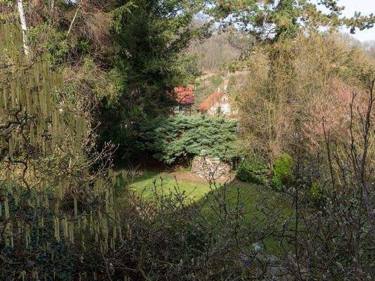 Blick von der Terrasse