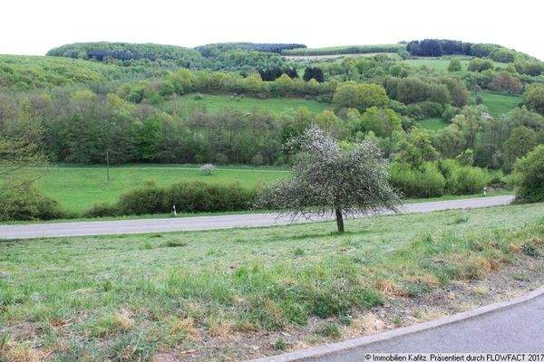 Ausblick vom Grundstück