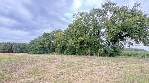 Plattenburg Grundstücke, Plattenburg Grundstück kaufen