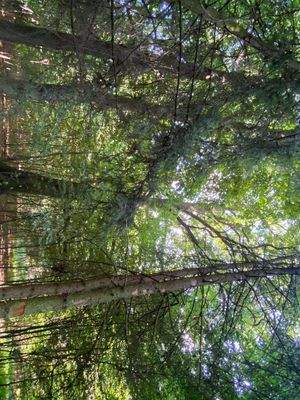 Schlosspark (20).JPG