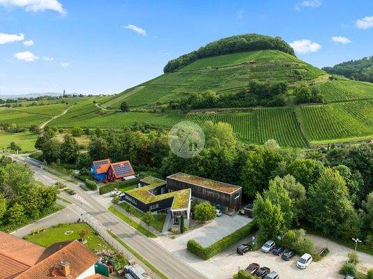 Am Fuße des Weinbergs 