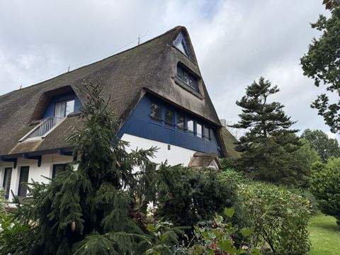 Seestermühe Häuser, Seestermühe Haus kaufen