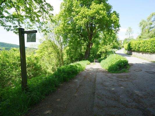 Das Walstück ist über einen Schotterweg zugänglich.