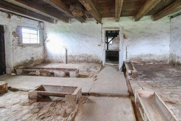 Innenaufnahme Scheune Stallungen 2