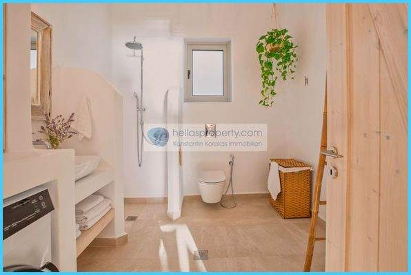 41e411c9b9af4558a9d53ae293d449f8-original