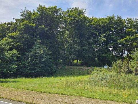 Stahlhofen Grundstücke, Stahlhofen Grundstück kaufen