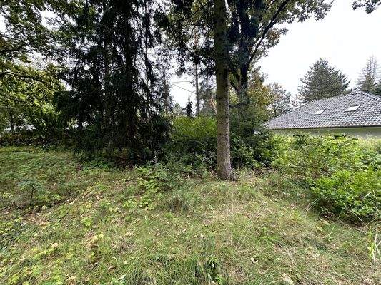 Grundstücksansicht I