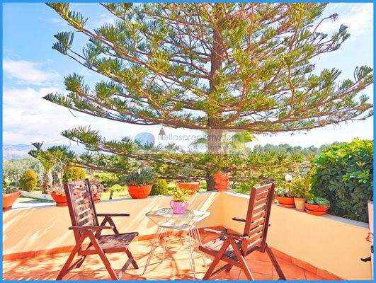 bdb18d228b1e4fa78afc83593a77dfd8-original