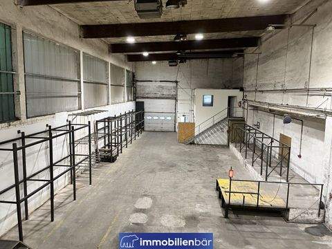 Thalheim bei Wels Halle, Thalheim bei Wels Hallenfläche