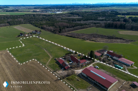 Holzgünz Bauernhöfe, Landwirtschaft, Holzgünz Forstwirtschaft