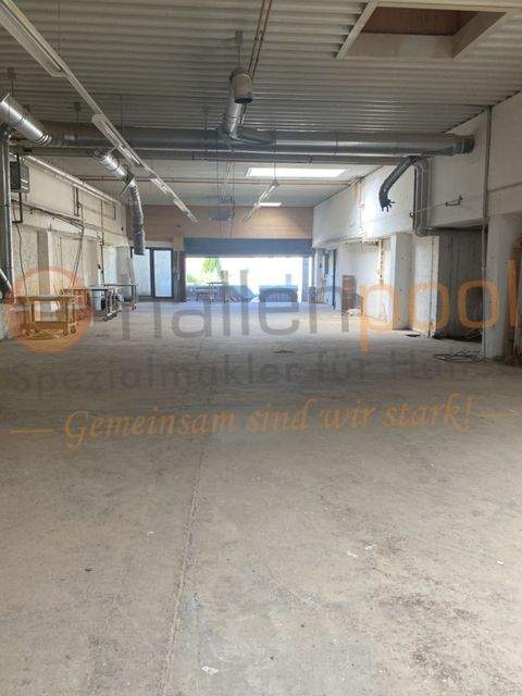 Lieg Halle, Lieg Hallenfläche