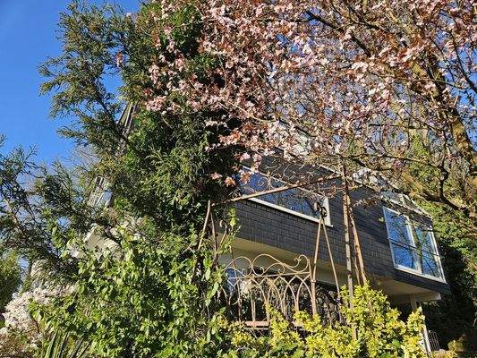 Seitenansicht Frühling aktuell