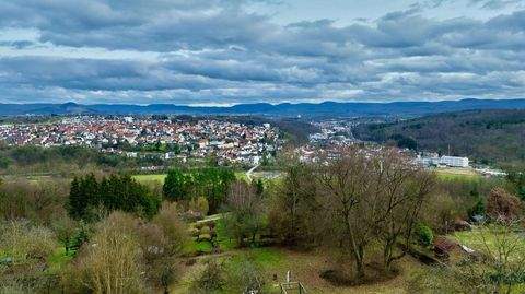 Kirchentellinsfurt Bauernhöfe, Landwirtschaft, Kirchentellinsfurt Forstwirtschaft