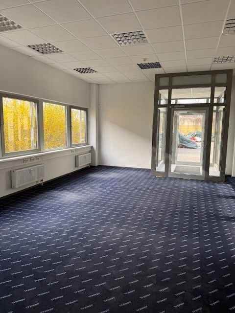 Rellingen Halle, Rellingen Hallenfläche