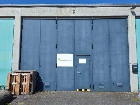 Bad Segeberg Halle, Bad Segeberg Hallenfläche