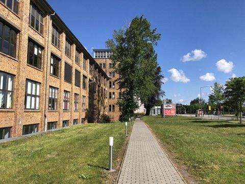 Dresden Halle, Dresden Hallenfläche