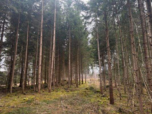 2026-02-12 13.50.29.jpg