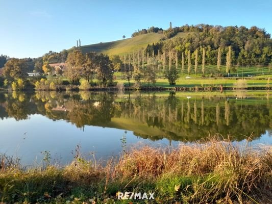 Sulmsee10