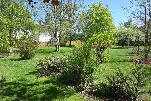 29 - Restgarten mit Wäscheplatz.jpg