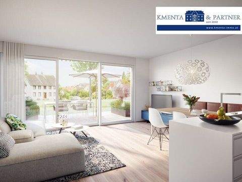 Hohenweiler Wohnungen, Hohenweiler Wohnung kaufen